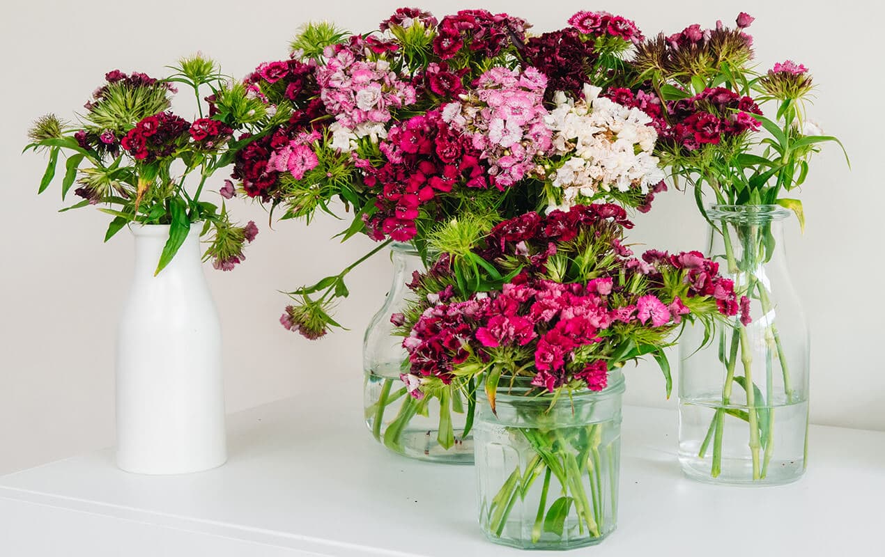 Flowers in clear and white vases.