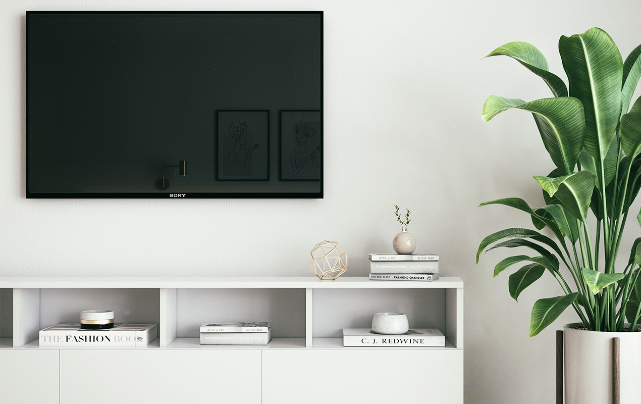 Minimal living room decor with tv and indoor plant