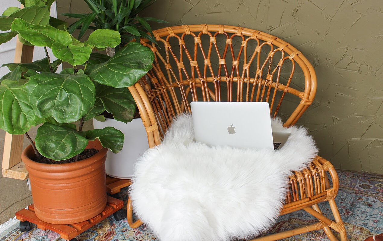 Rattan chair with a plant, blanket, and laptop