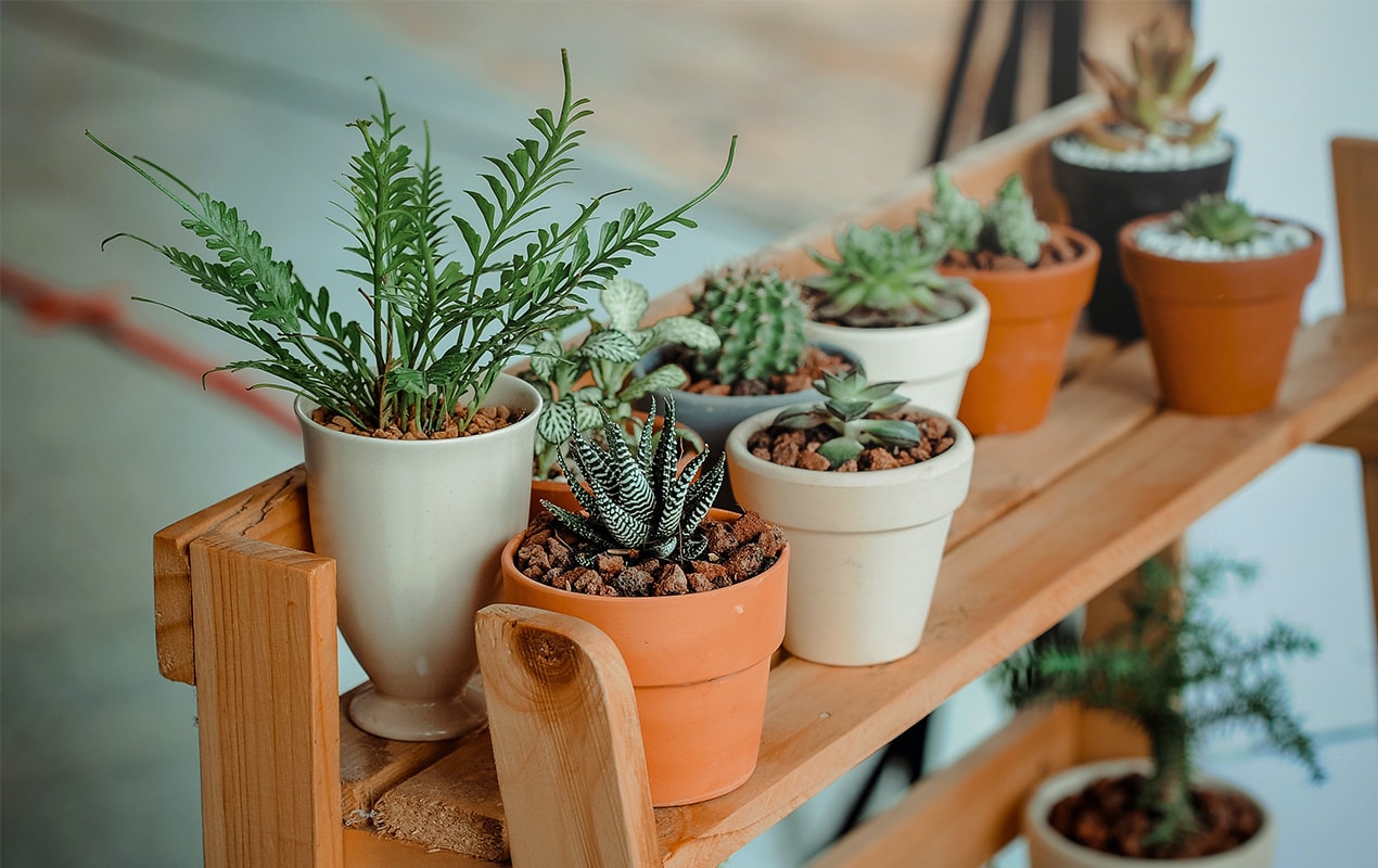 Biophilic Interior Decorating by DeCasa Collections
