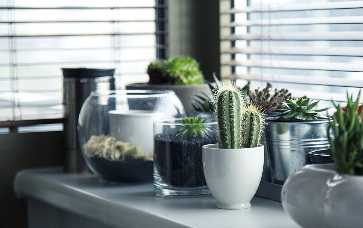 Living Room Decor by DeCasa Collections