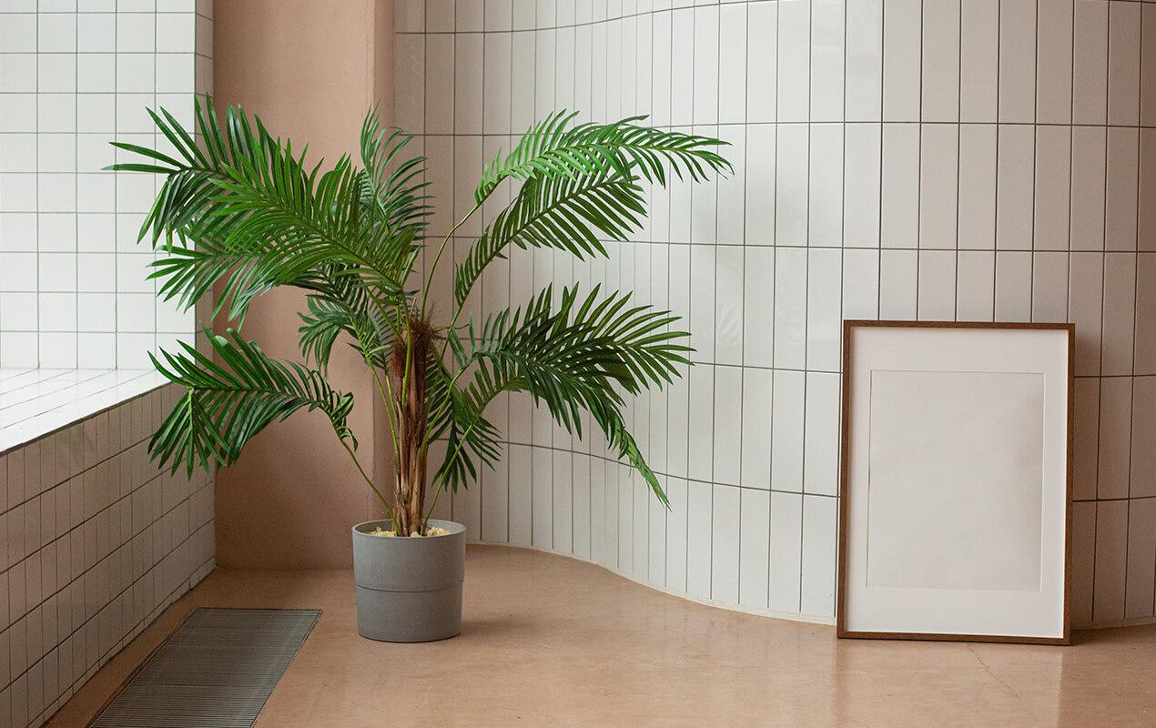 Tiled walls and floor with an indoor plant and photo frame