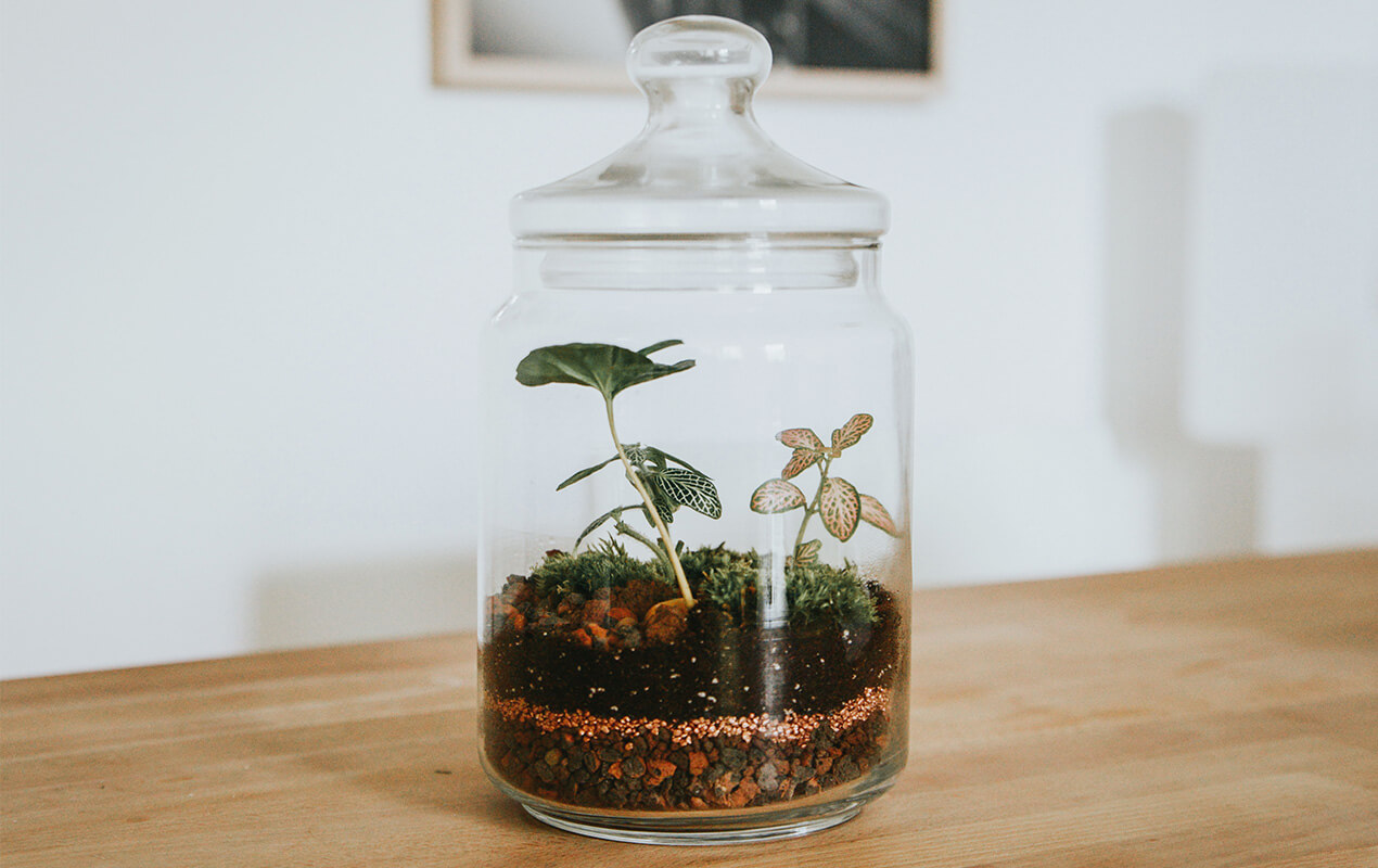 Natural Table Decor Ideas by DeCasa Collections