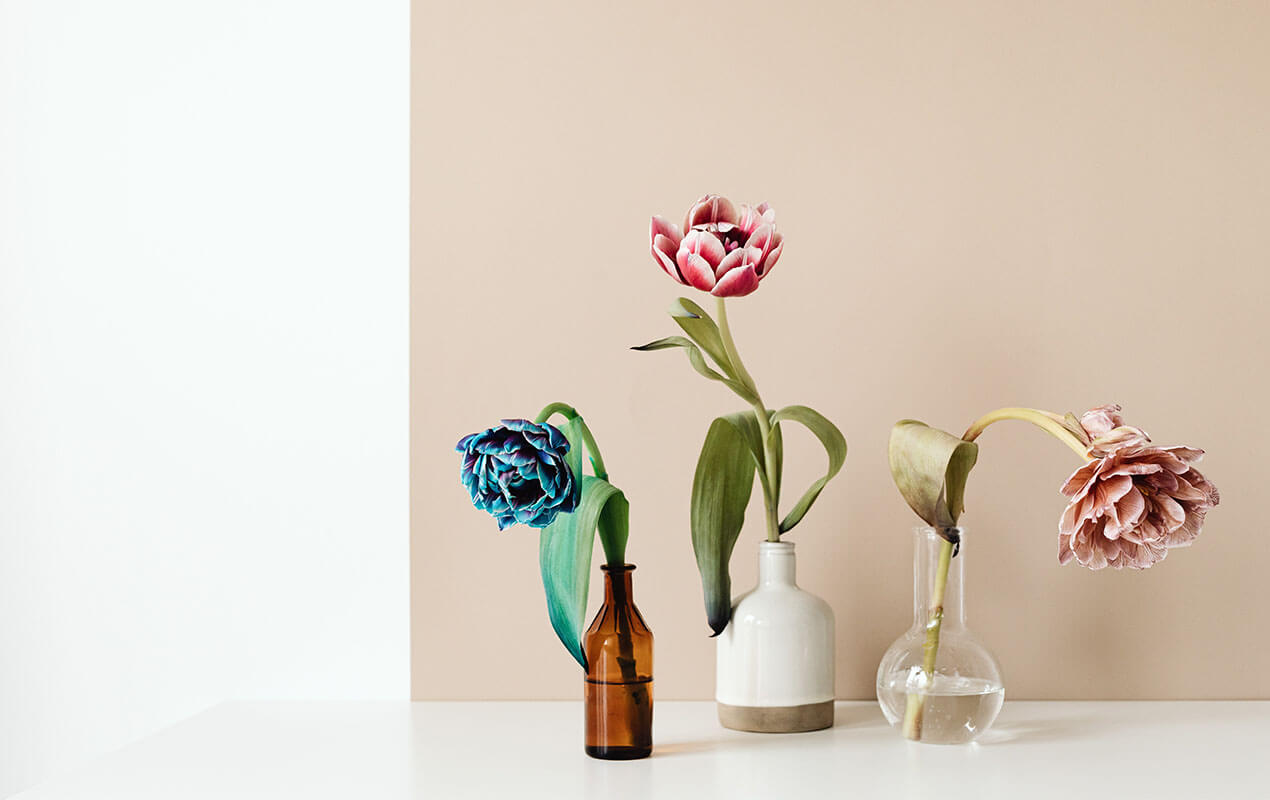 bring your home to life with Flowers in glass and porcelain vases 