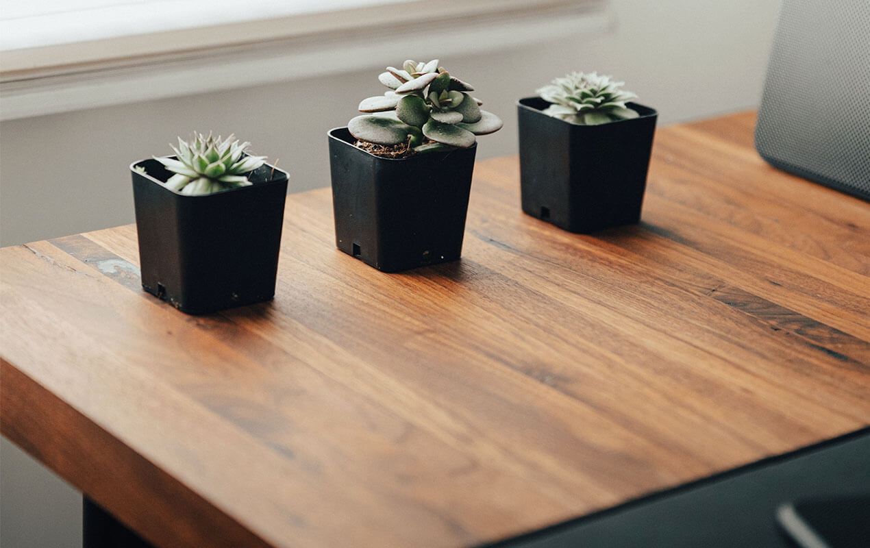 Acacia wood table with indoor plants