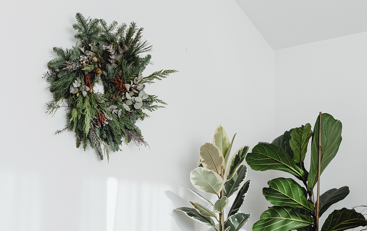 Wreath on an interior wall with a floor plant