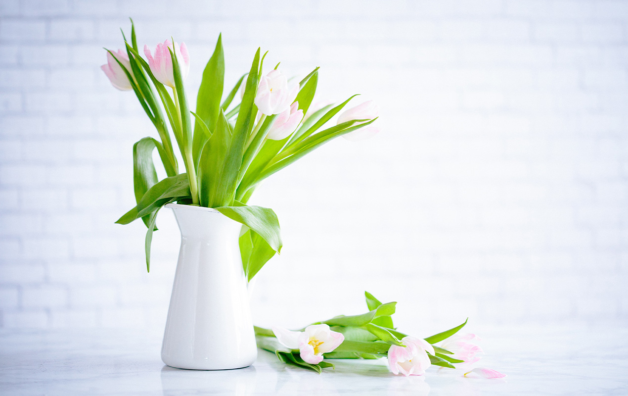 Greenery in a white vase.