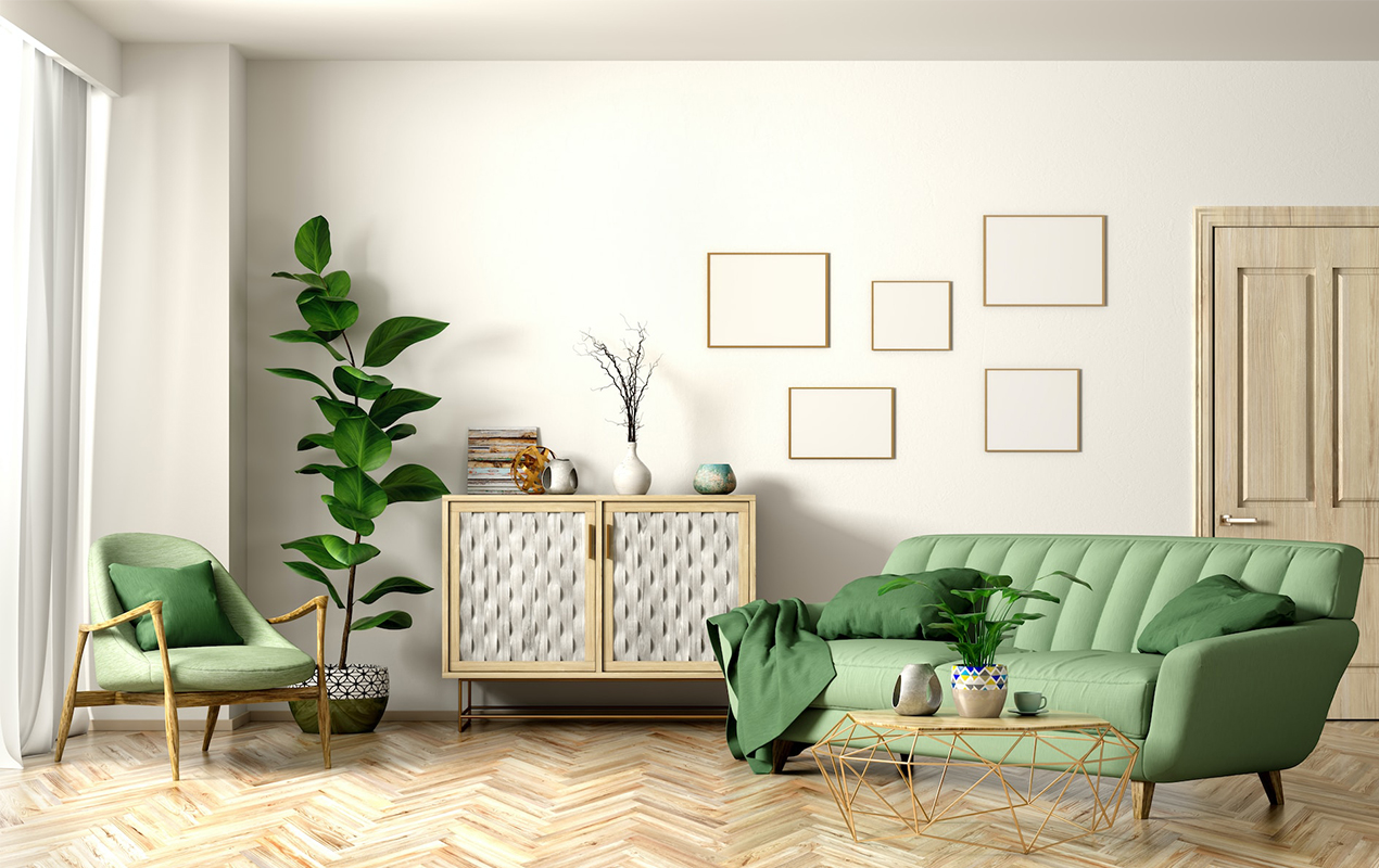Living room with green sofa console table floor plant