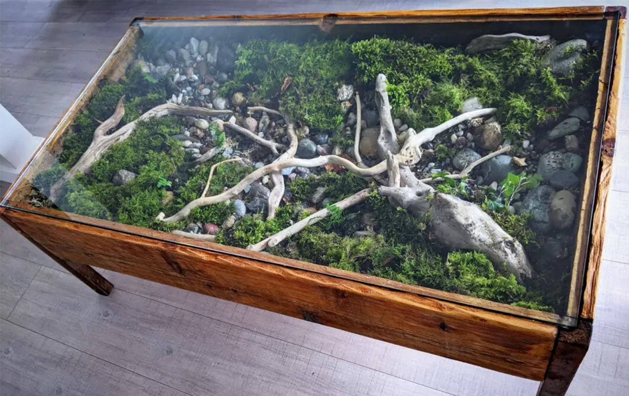 Live Edge with Terrarium Coffee Table