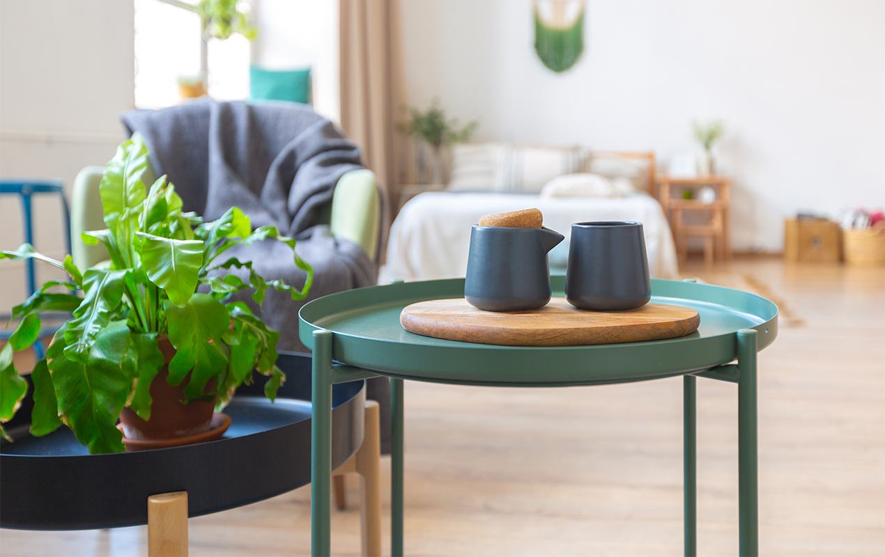 Apartment with green furniture and indoor plants