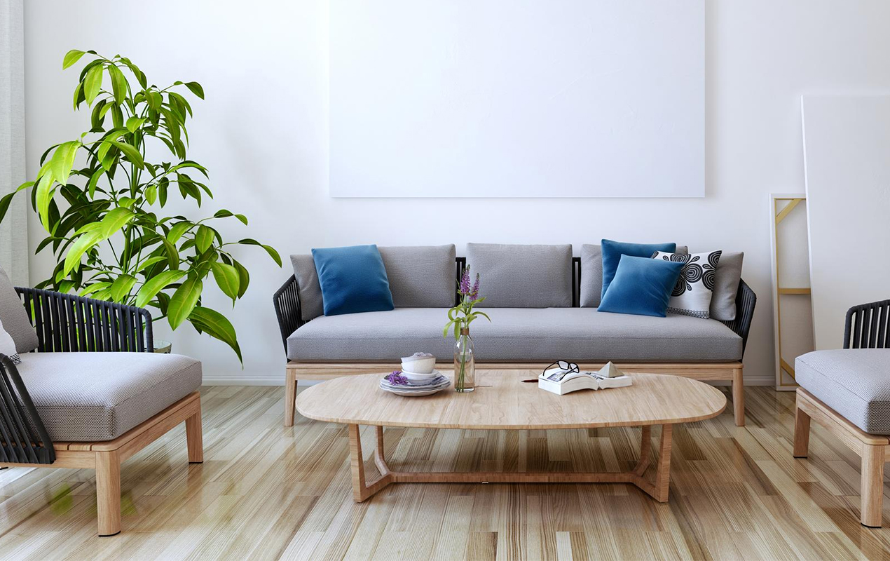 Natural living room interior with large floor plant and wooden coffee table