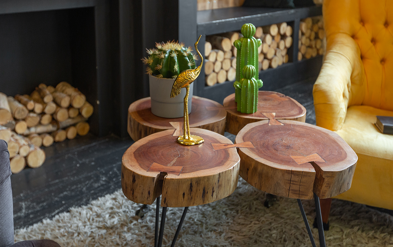 A Unique Wooden Slab with potted plant coffee table decor