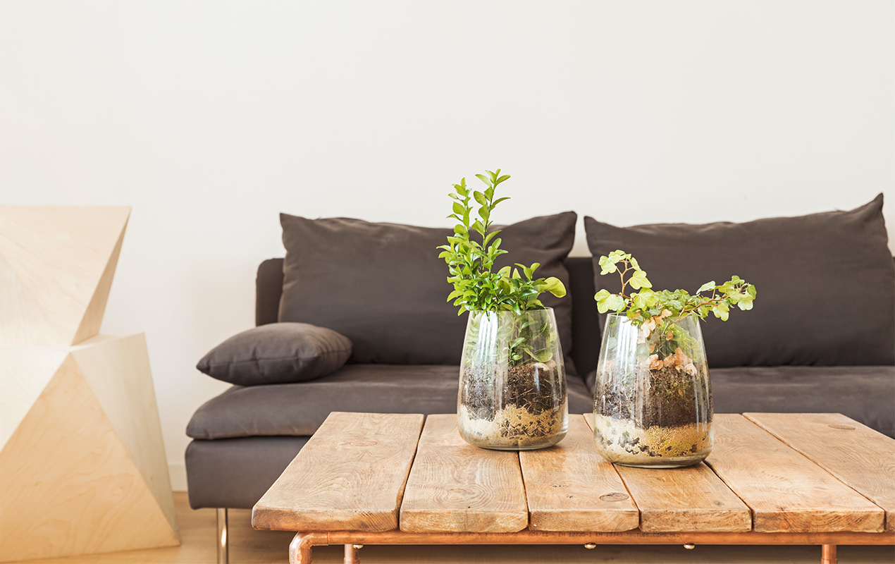 A Wooden Coffee Table with Glass Flower Vases and Vibrant Blooms