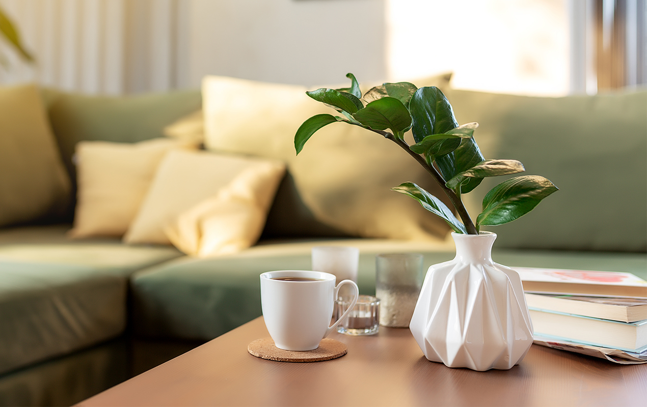 Living room with green sofa, greenery, and books