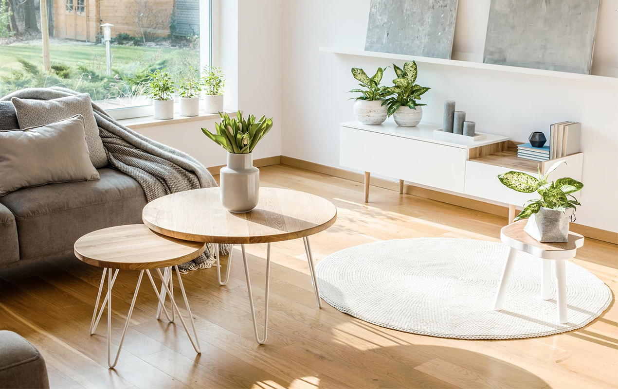 Coffee Table Texture and Height