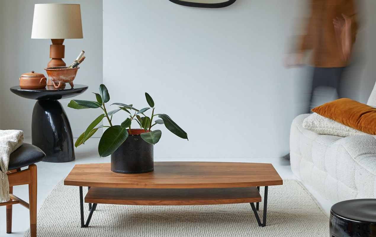 Harmony in Design The Elegance of an Acacia Coffee Table and Lush Greenery