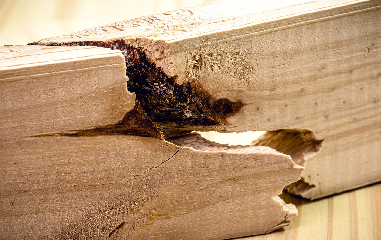 how to fix water damage on wood coffee table 