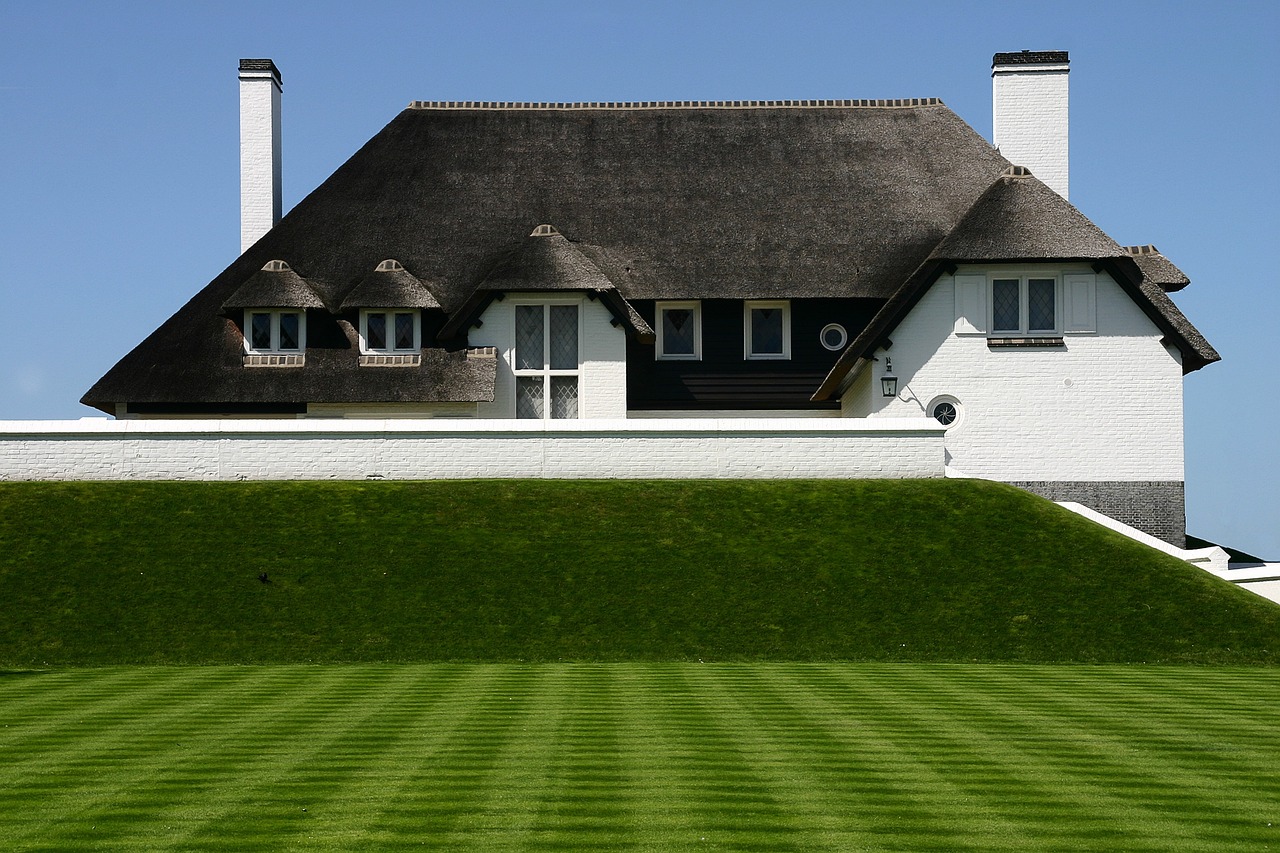 House, Thatched roof, Green lawn
