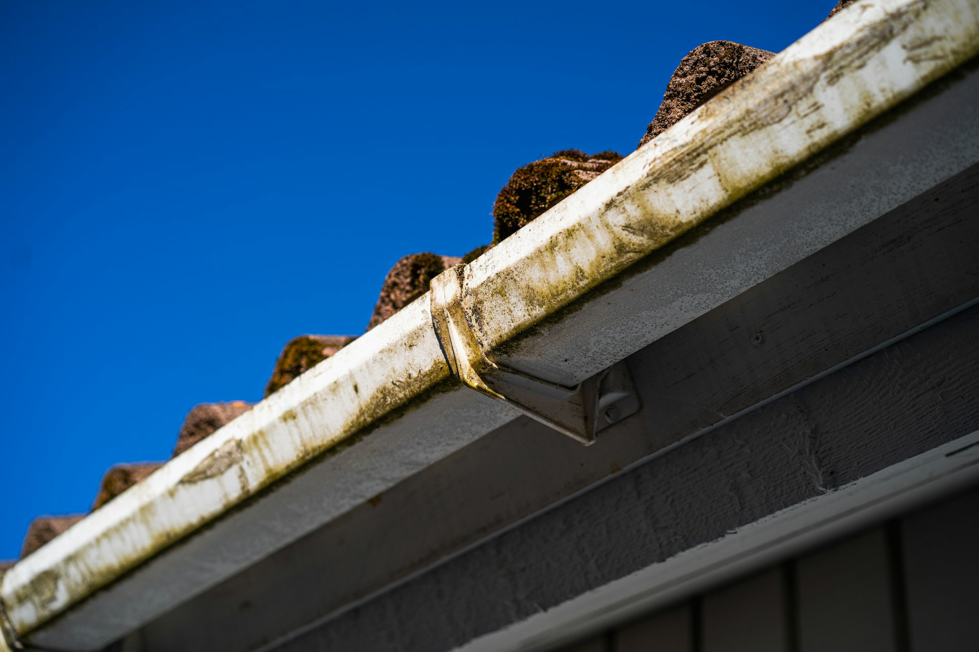 Home roof and gutter tips