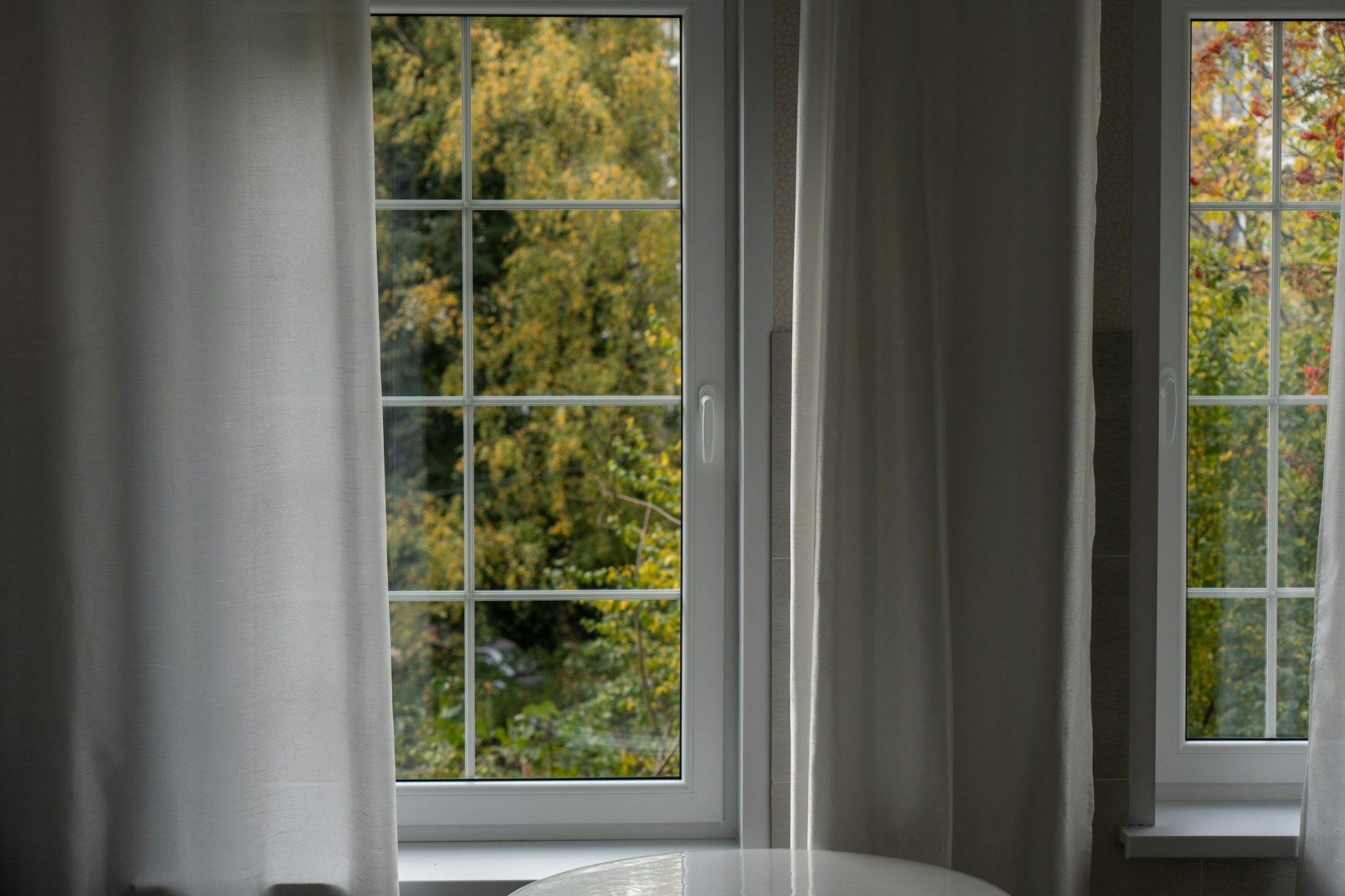 Home windows with white frame