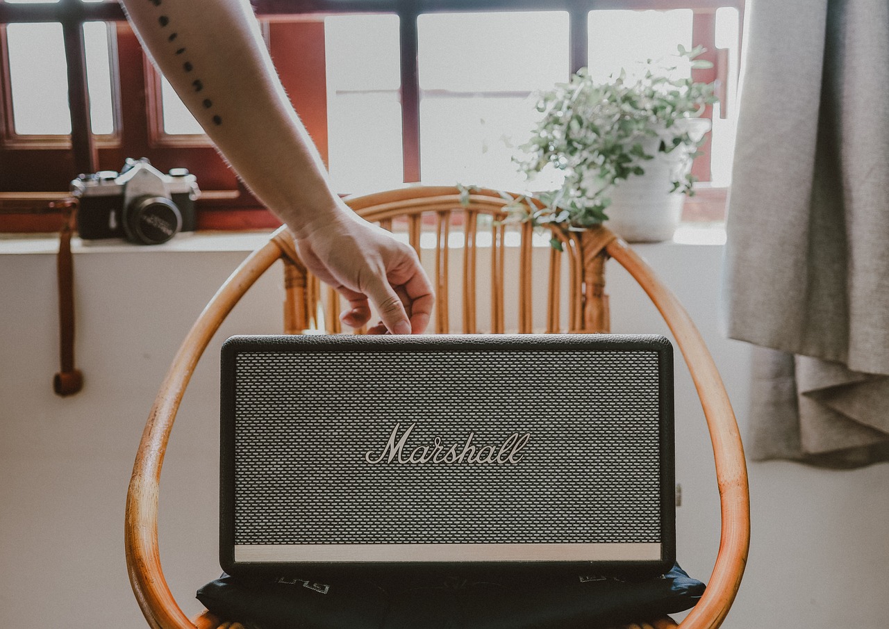 Speaker, Marshall, Chair image