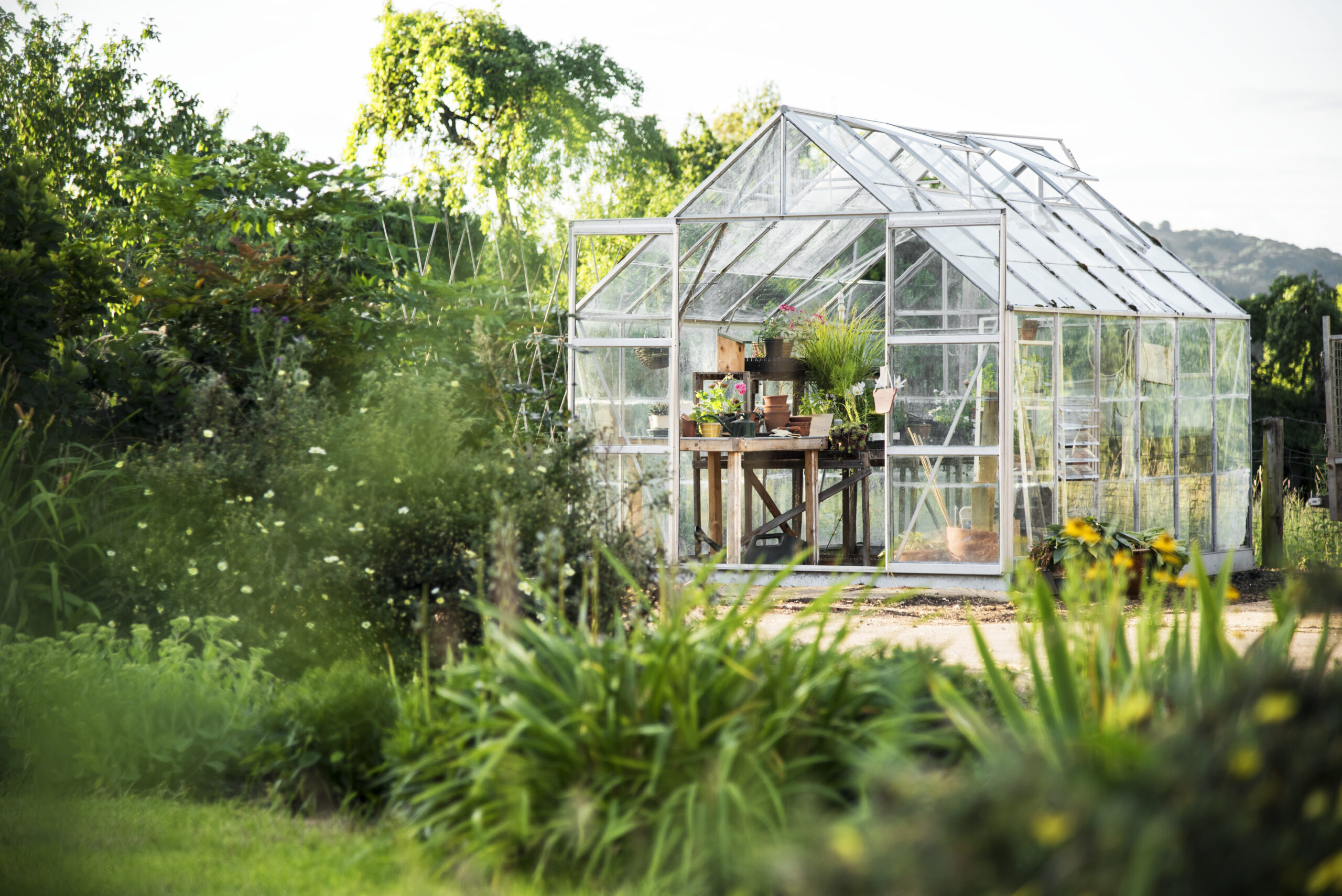 Choosing the Best Glass for Your Greenhouse Needs