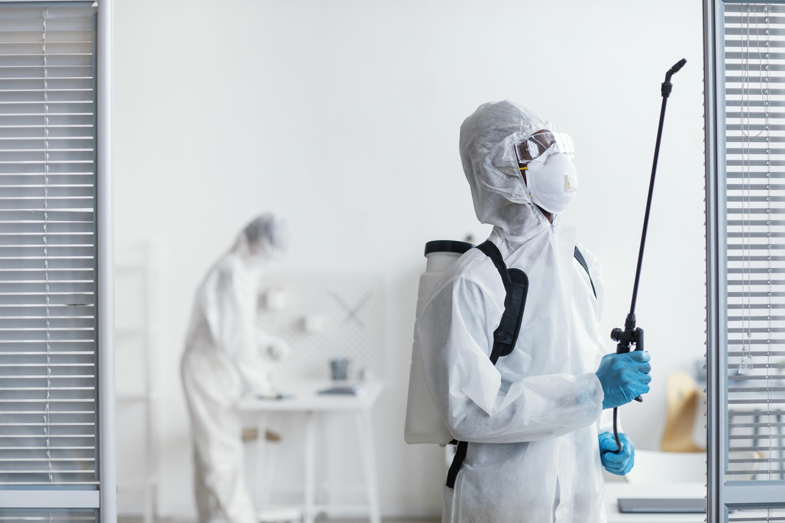 Things Every Homeowner Should Know About Seasonal Pest Activity