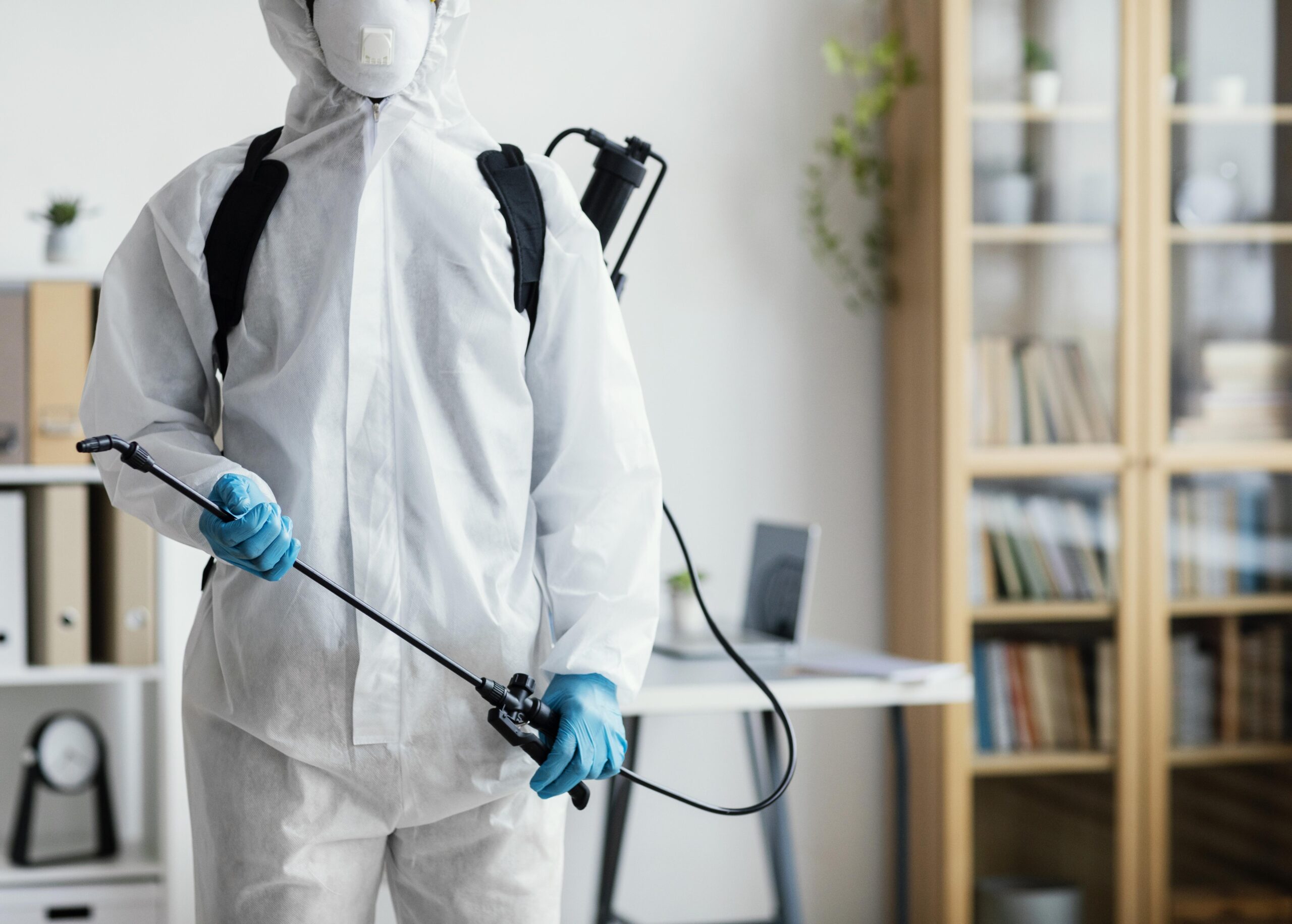 Common House Pests & Tips to Keep Them Away Year-Round