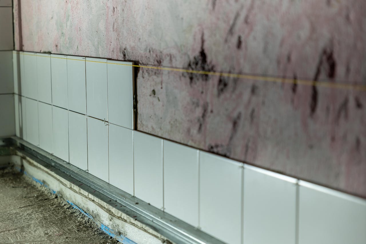 Tips for Identifying Early Signs of Water Damage in Your Home