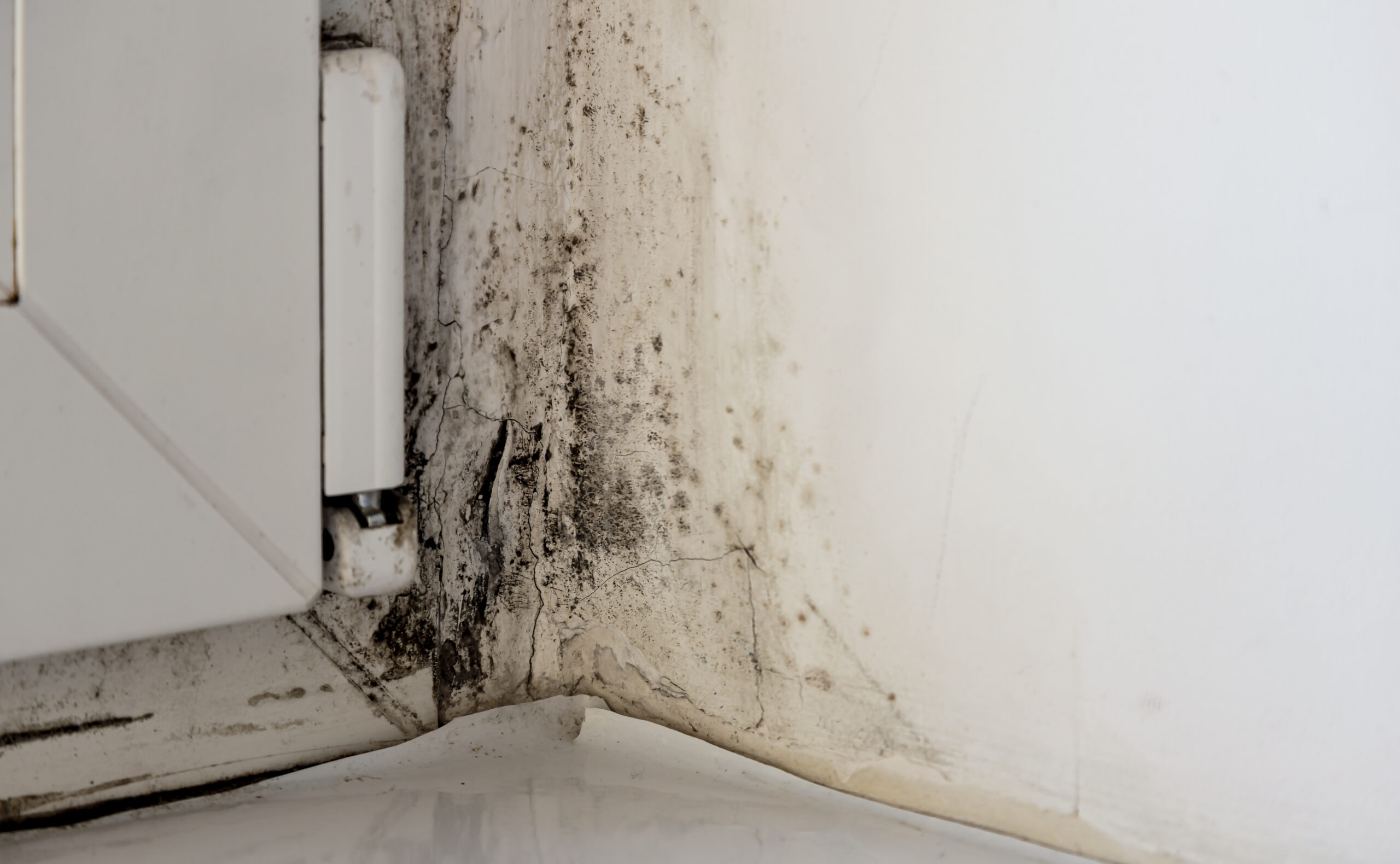 Top Causes of Water Damage in Vancouver WA Homes and How to Prevent Them