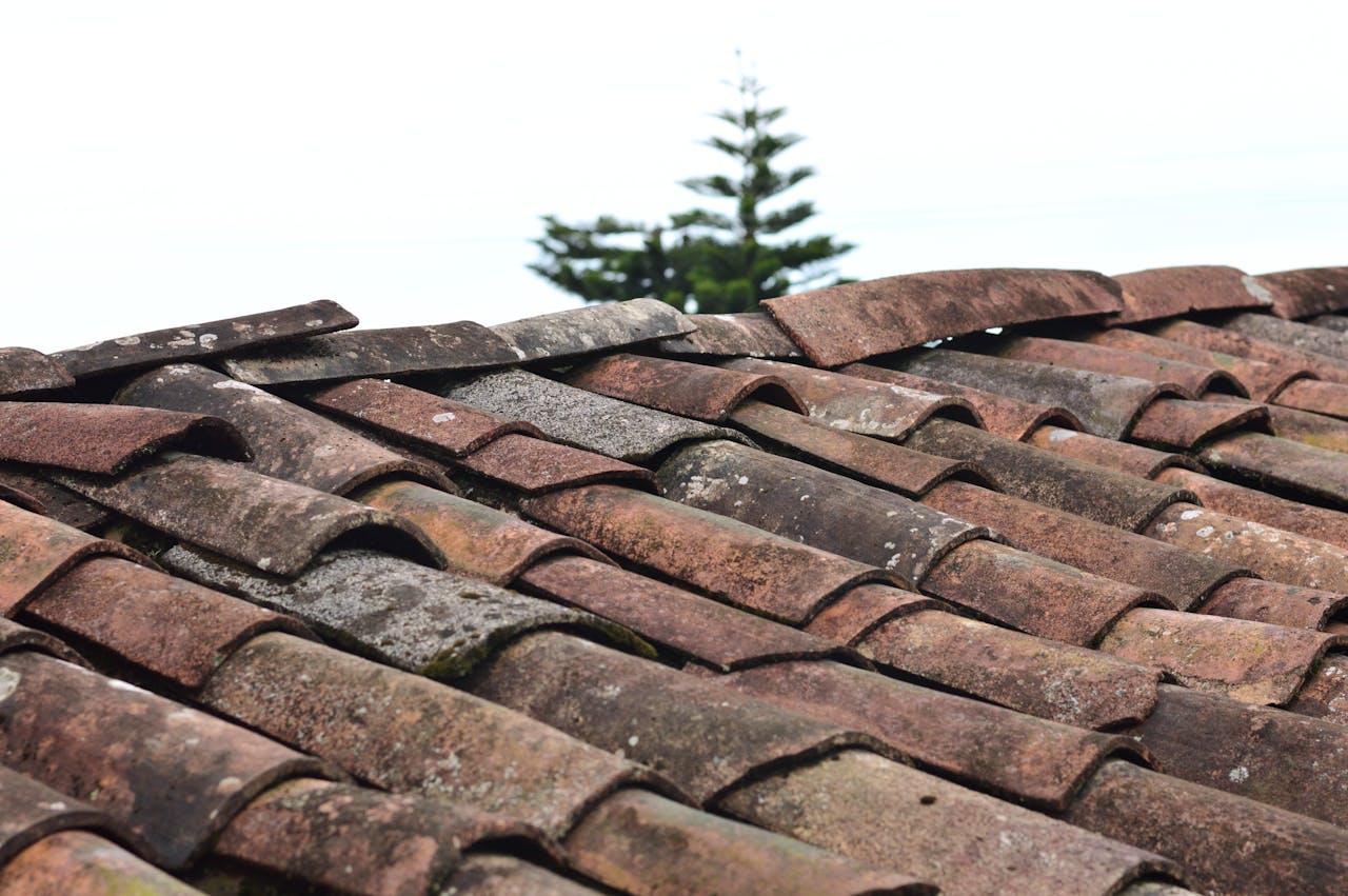 Warning Signs That Roof Damage Is Affecting Indoor Spaces