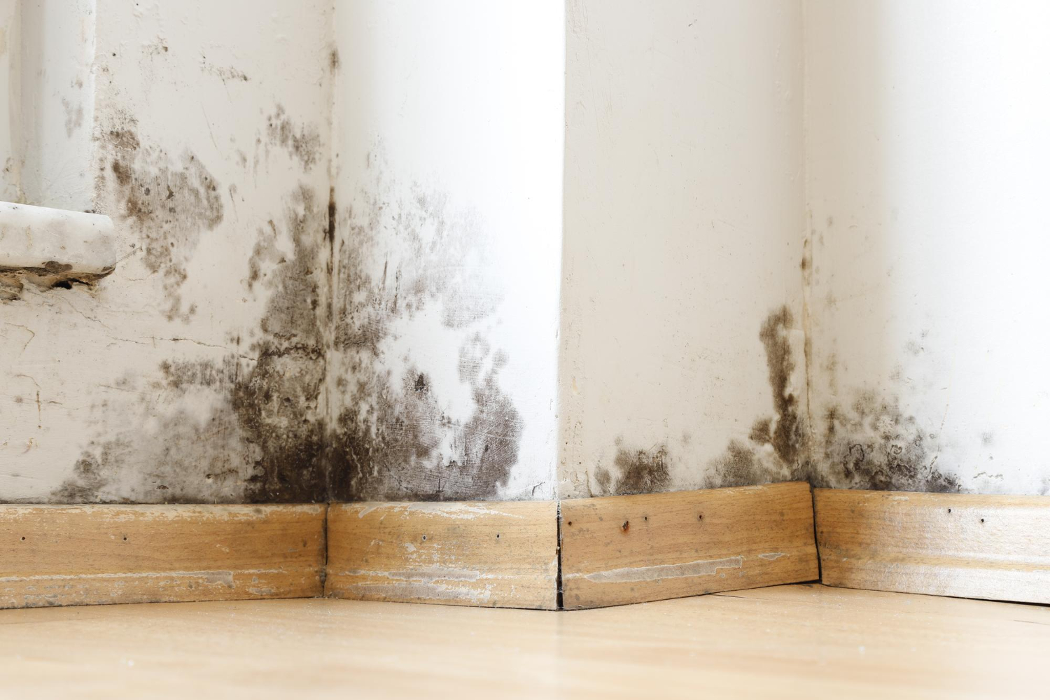 Transforming Damp Spaces into Cozy Home Retreats
