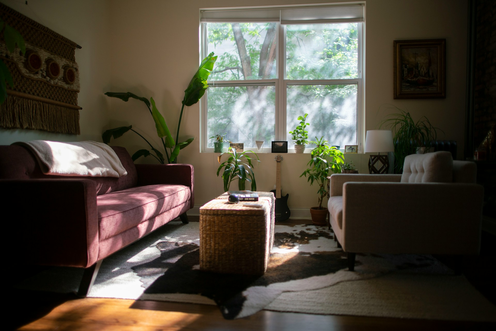 Key Steps to Creating a More Private and Comfortable Home Environment
