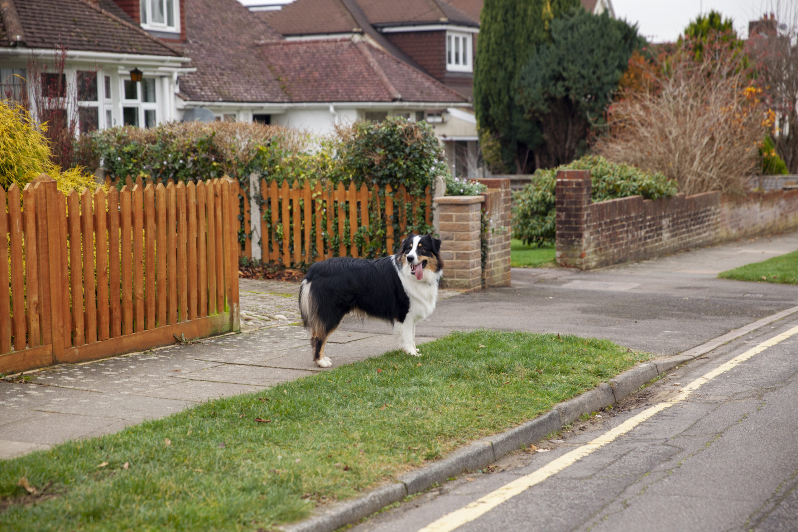 Modern Fencing Solutions for Residential Properties